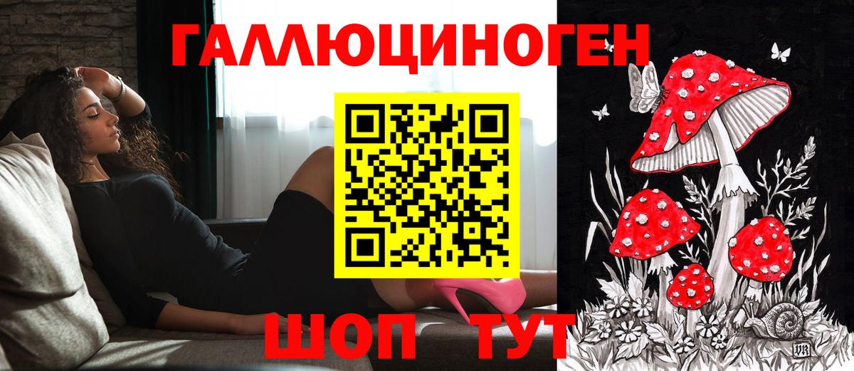Псилоцибиновые грибы мицелий Аша