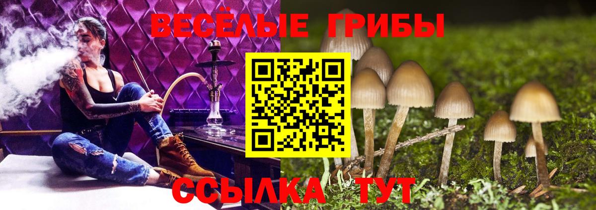 Мефедрон кристаллы  NBOMe  Купить закладку  Вход с VPN  Аша  Экстази  ГАШ  Гашиш  Кокаин  MDMA  Канабис  Кокаин 